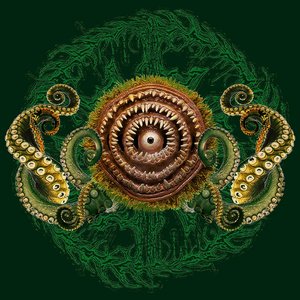 Avatar for Acariasisоrnithodorosаrgasidae