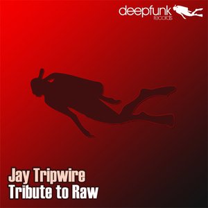 Tribute to Raw - EP
