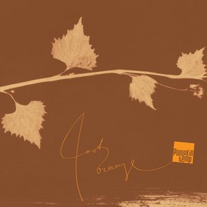 Pumpkin Temp 的头像