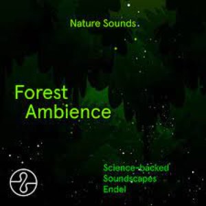 Nature Sounds: Forest Ambience