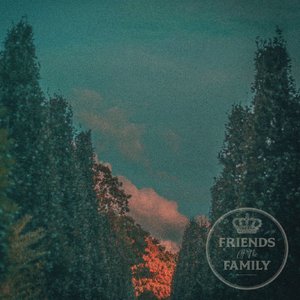 Friends Of The Family