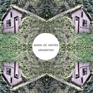 “Maxim de Winter”的封面
