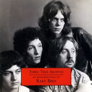 Third Time Around - An Introduction to Rare Bird