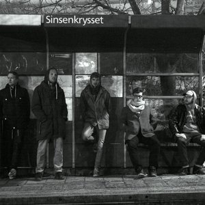 Sinsenfist 的头像