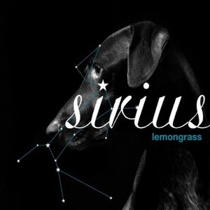 “Sirius”的封面