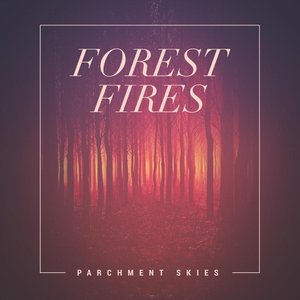 Parchment Skies 的头像