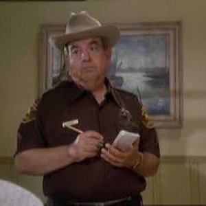 Tom Bosley 的头像