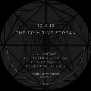 The Primitive Streak