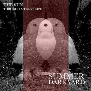 Summer Darkyard