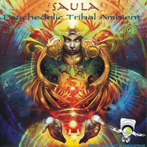 Saula 的头像