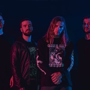 The Absolution Sequence 的头像