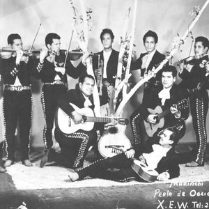 Mariachi Perla de Occidente de Marcelino Ortega 的头像