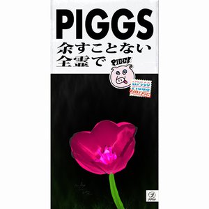 余すことない全霊で