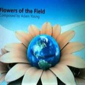 Flowers Of The Field