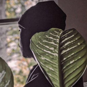Avatar for zxry.