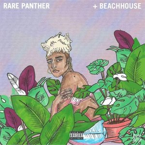 RarePanther+Beachhouse - Single