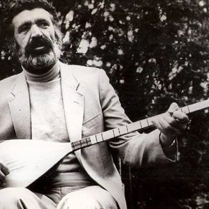 “Feyzullah Çınar”的封面