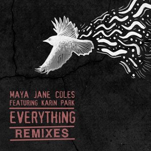 Image for 'Everything (Remixes)'