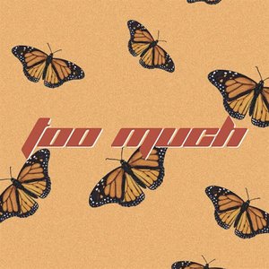 Too Much - Single