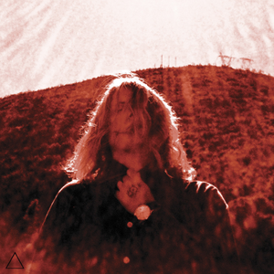 Manipulator cover