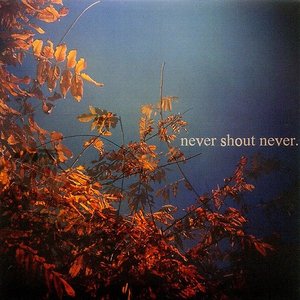 Never Shout Never