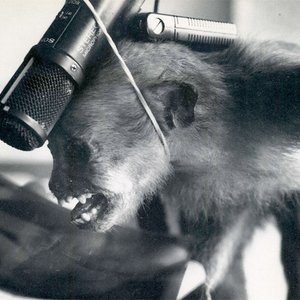 Joan Fontcuberta & Das Synthetische Mischgewebe 的头像