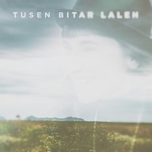 Tusen bitar