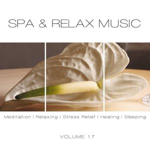 SPA & Relax Music, Vol. 17