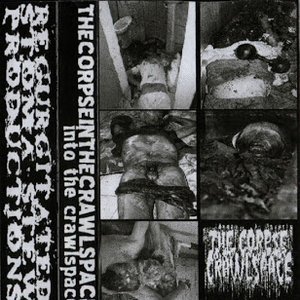 Into The Crawlspace