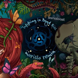 Tapping in Boyd Hill - Single