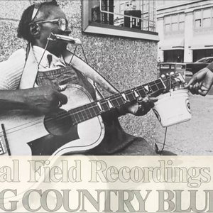 Living Country Blues USA, Vol. 3