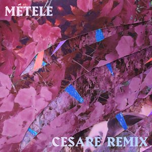 Métele (Cesare Remix)