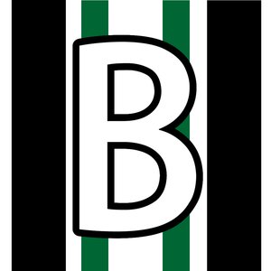 Image for 'Roland 'ReiniBorussia' Reinhart'