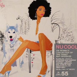 “Hed Kandi Presents Nu Cool”的封面