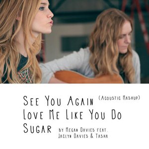 See You Again, Love Me Like You Do, Sugar (Acoustic Mashup)