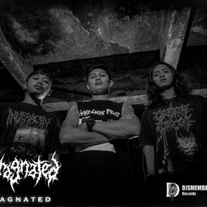 Avatar for Stagnated
