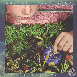 Saikei Collection Vol. 11