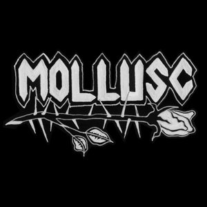 MOLLUSC