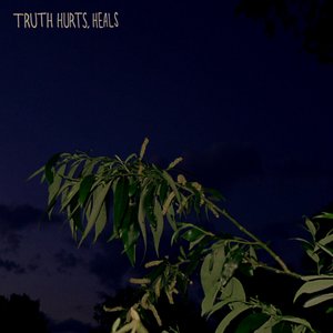 truth hurts, heals