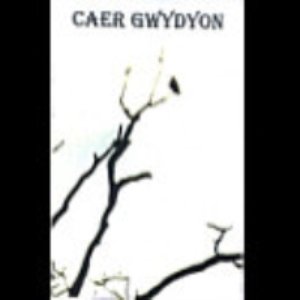 Caer Gwydyon 的头像