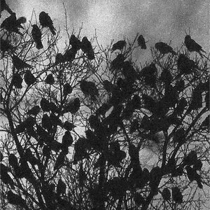 Airs de Corbeaux