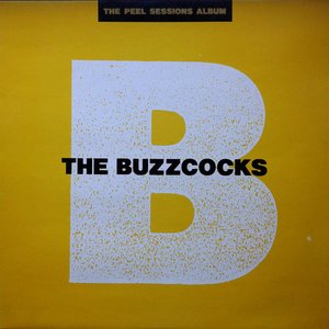 The Peel Sessions Album