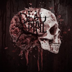 Brain Tissue - Single