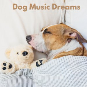 Dog Music Dreams