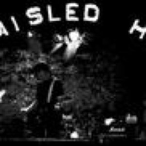 The Misled Heroes 的头像