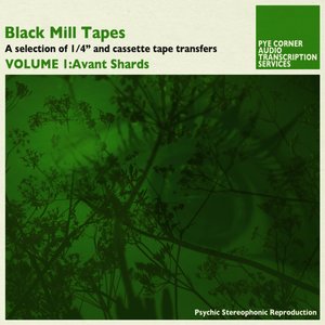 Black Mill Tapes, Vol. 1: Avant Shards