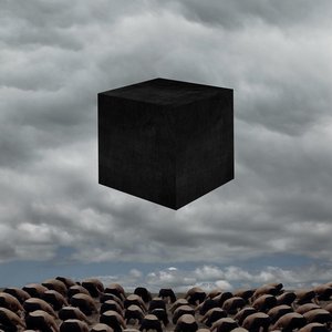 Fall - Single