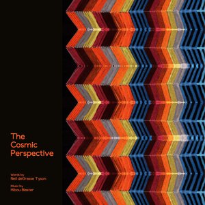 The Cosmic Perspective