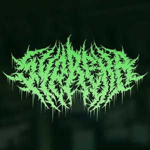 Syprexa 的头像