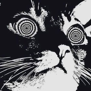 The Unknowing - Single